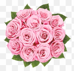 New Baby Flowers - Pink Roses Emoji,Two Roses Emoji