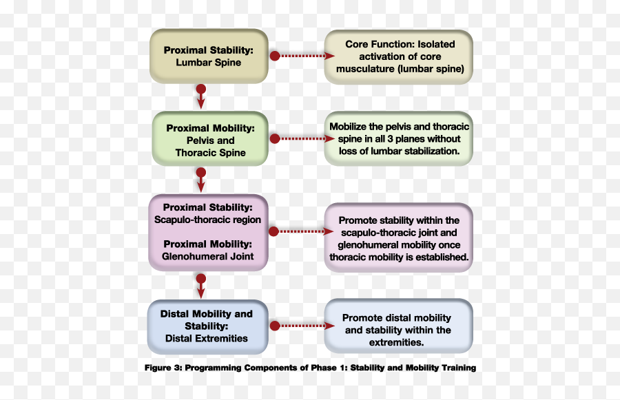 Personal Training For The 21st Century - Ace Stability And Mobility Training Emoji,Emotions Continuum Activity Questions