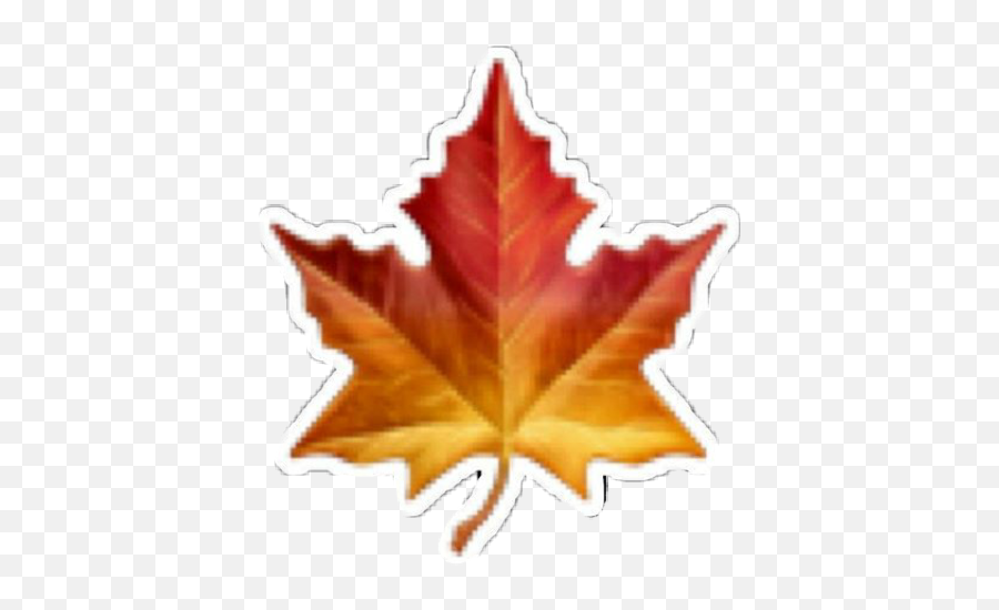 Fall Autumn Blad Picsart Emoji Lol - Maple Leaf Emoji Png,Fall Emoji