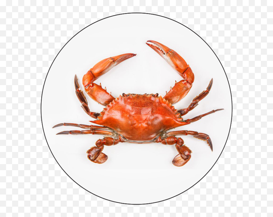 Red Crab Custom Column Trophy With Logo - Crab Stock Emoji,Fidget Spinners With Crab Emoji