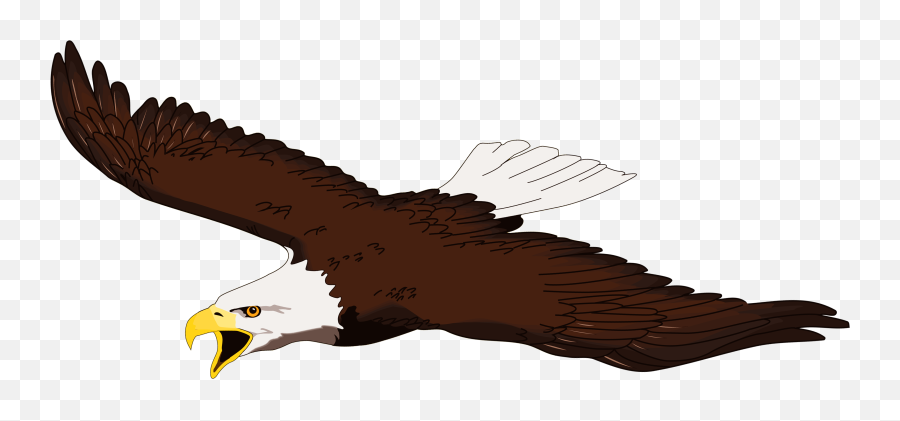 Eagle Flying Png High - Quality Image Png Arts Emoji,Emojis No Backround