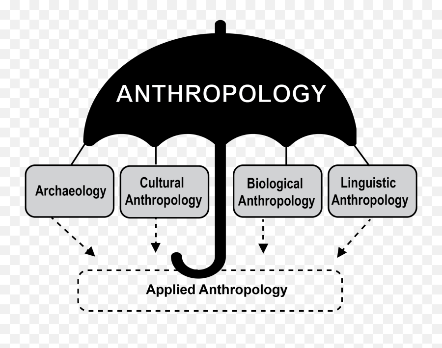 Introduction To Biological Anthropology U2013 Explorations - Anthropology Perspective Example Emoji,Darwin's Theory Of Emotion