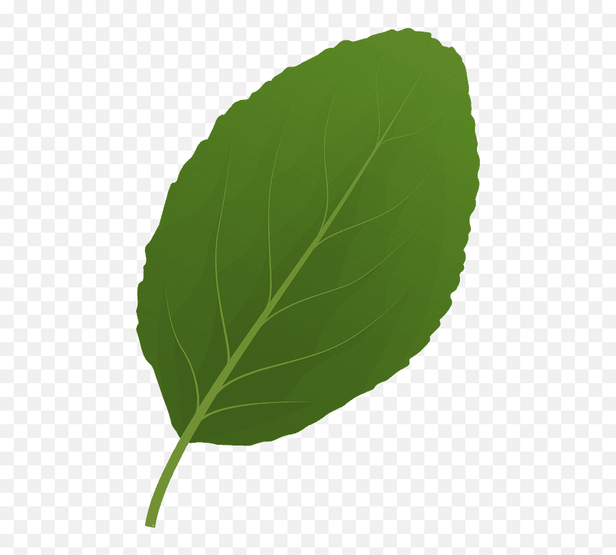 Leaf Clipart - Clipartworld Emoji,Basil Leaf Emoji
