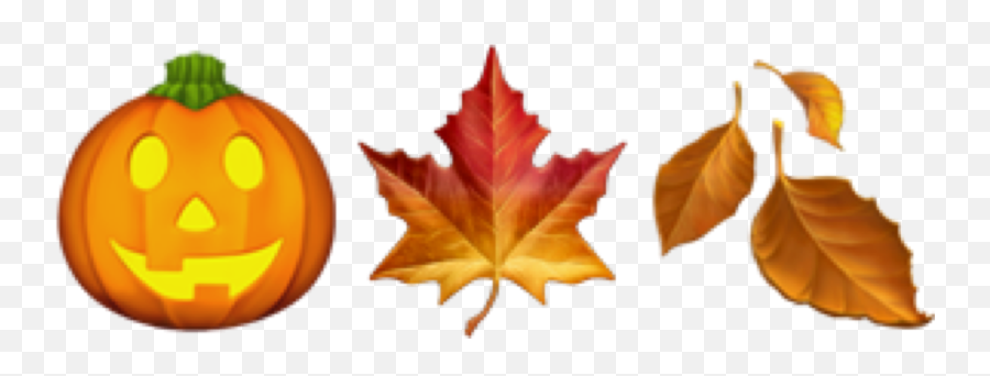 Red Maple Emoji,Pumpkin Emoji