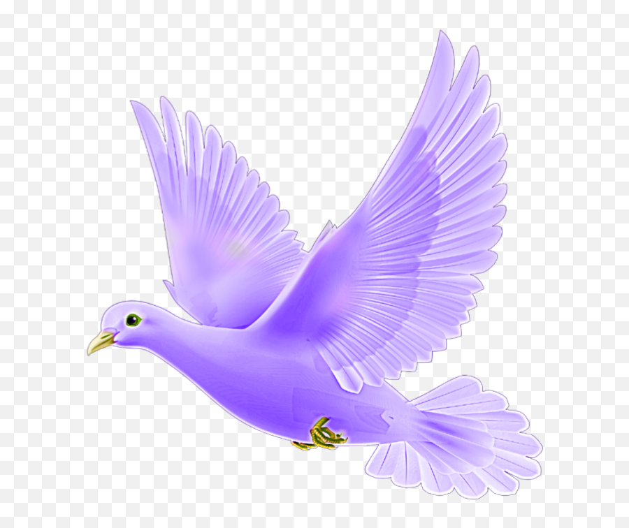 Transparent Pakshi Png Colourful Design - Finetechrajucom Kabutar Picsart Pigeon Png Emoji,Dove Bird Emojis