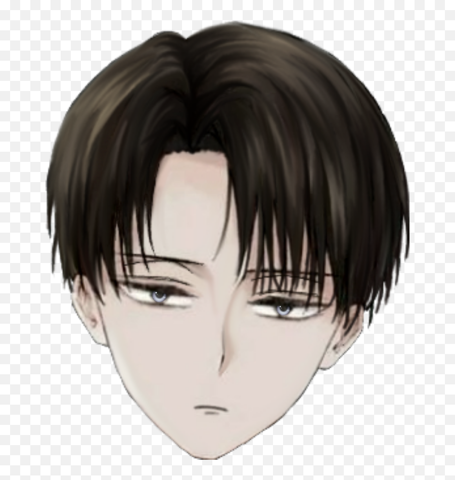 3l Levi Ackerman Leviackerman Sticker - Levi Ackerman Emoji,Animr Boy Emotions