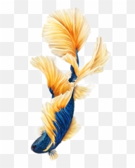 Popular And Trending Koi Stickers On Picsart - Iphone 6s Gold Emoji,Fosh Feather Emotions