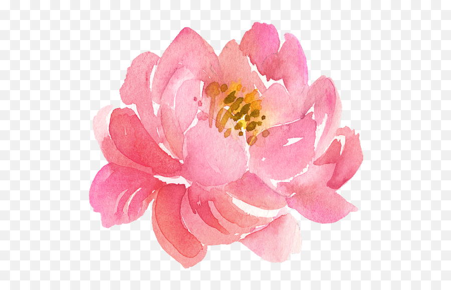 Louise Hay Workshops - Peony Emoji,Louise Hay Emotions