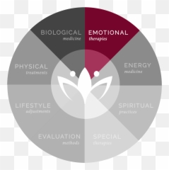 Neuro Emotional Technique Net - Innovative Medicine Dot Emoji,Physical Manifestations Of Emotions