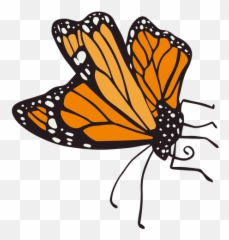 Dead Png U0026 Svg Transparent Background To Download Emoji,Orange Butterfly Emoji