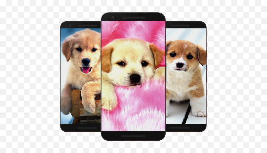 Puppy U0026 Dog Wallpaper Hd - Apps On Google Play Status Of Cute Dogs Emoji,Dog Breed Emojis