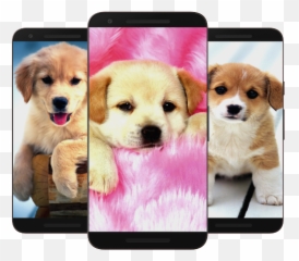 Puppy U0026 Dog Wallpaper Hd - Apps On Google Play Status Of Cute Dogs Emoji,Dog Breed Emojis