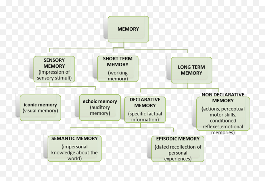 Optionals Ias Mains Psychology - 6 Types Of Memory Emoji,Emotion Chemicals