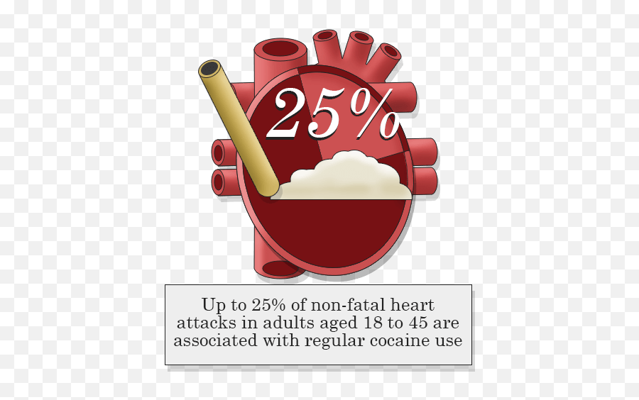 How Drugs U0026 Alcohol Abuse Affect The Heart U0026 Cardiovascular - Cocaine Damage To Heart Emoji,Marijuana Affects Your Emotions