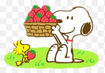 Snoopy Strawbarry Fragole Sticker - Summer Snoopy Clipart Emoji,Woodstock Peanuts Copy/paste Emojis
