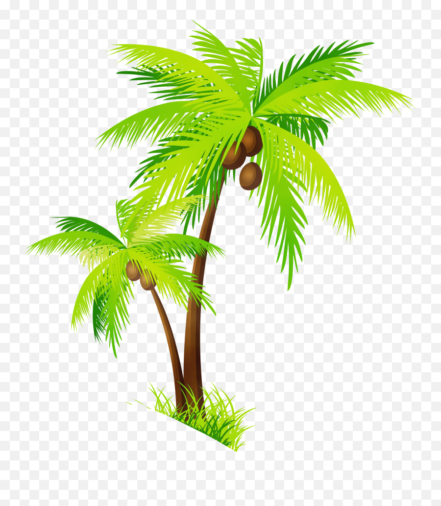 Clip Art Coconut Portable Network - Transparent Background Palm Tree Clipart Png Emoji,Download Emoji For Palm Trees