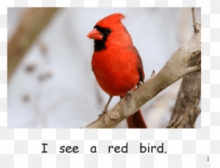 I See Colours Free Kids Books Emoji,Color And Emotions Pdf