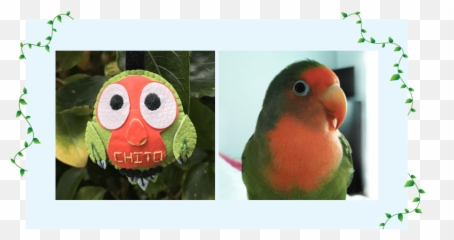 Inicio - Cuchituras Emoji,Emoticon Patitas Llaveros