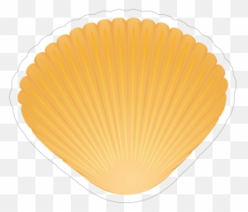 Pretty Orange Seashell Sticker Emoji,Sea Shell Emoji