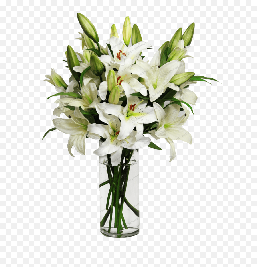 Vase Png Photos Png Mart Emoji,Vase Emoji