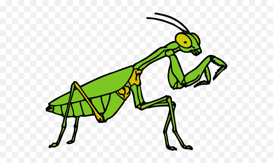 Childrenu0027s Drawings Mantis 57 Photos Emoji,Praying Mantis Emoji