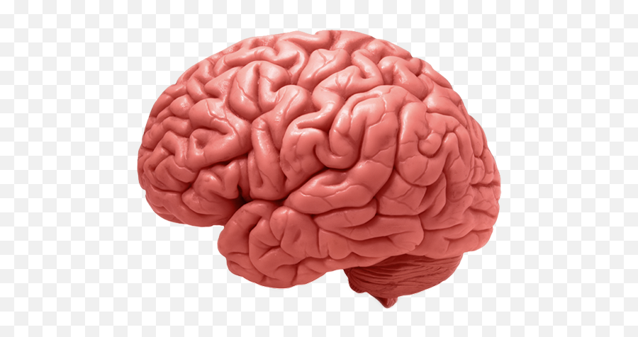 B Well Brain - Brain Diseases Emoji,Emotions And The Brain Psychology