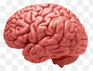 B Well Brain - Brain Diseases Emoji,Emotions And The Brain Psychology