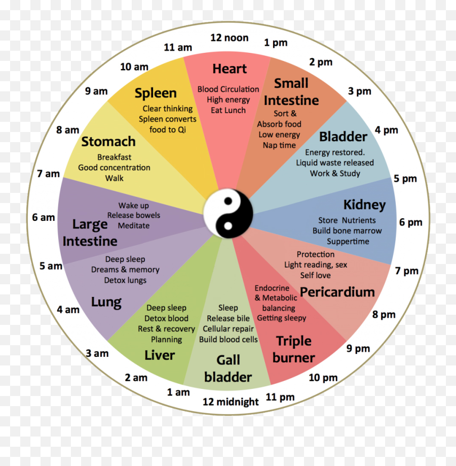 How Do Scalar Fields Work For Your Body - Spooky2 Scalar Chinese Medicine Organ Clock Emoji,Chinese Organ Clock And Emotions