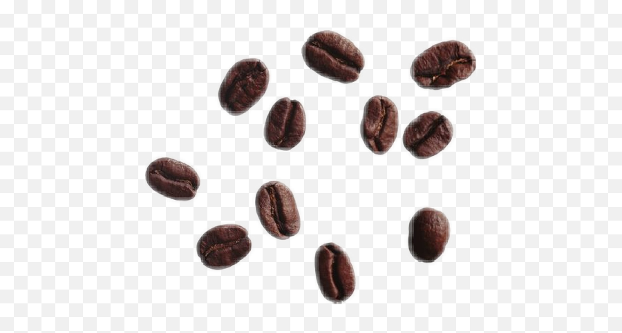Coffee Beans Bean Aesthetic Brown - Coffee Beans No Background Emoji,Coffee Bean Emoji