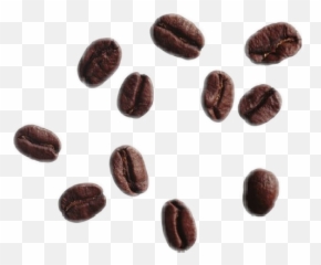 Coffee Beans Bean Aesthetic Brown - Coffee Beans No Background Emoji,Coffee Bean Emoji