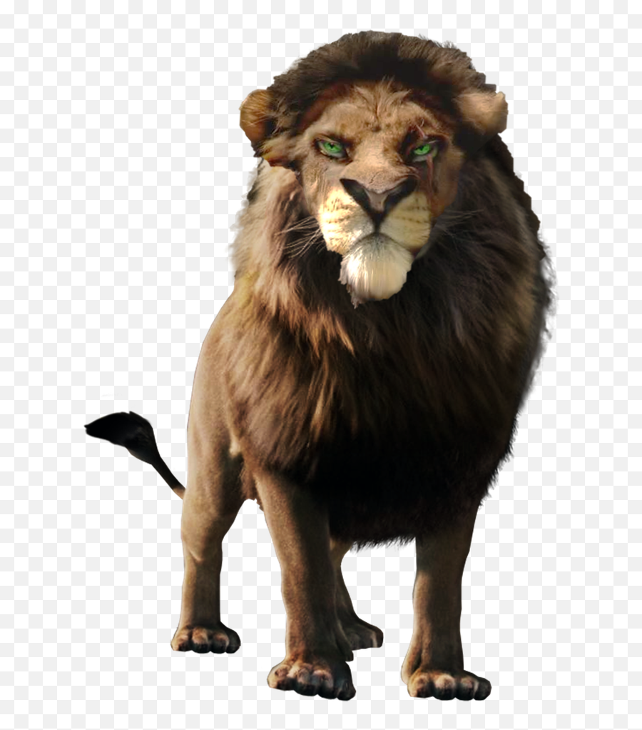 The Lion King Png Transparent Images Png All - Lion King Png Real Emoji,Lion King Rafiki Emotion