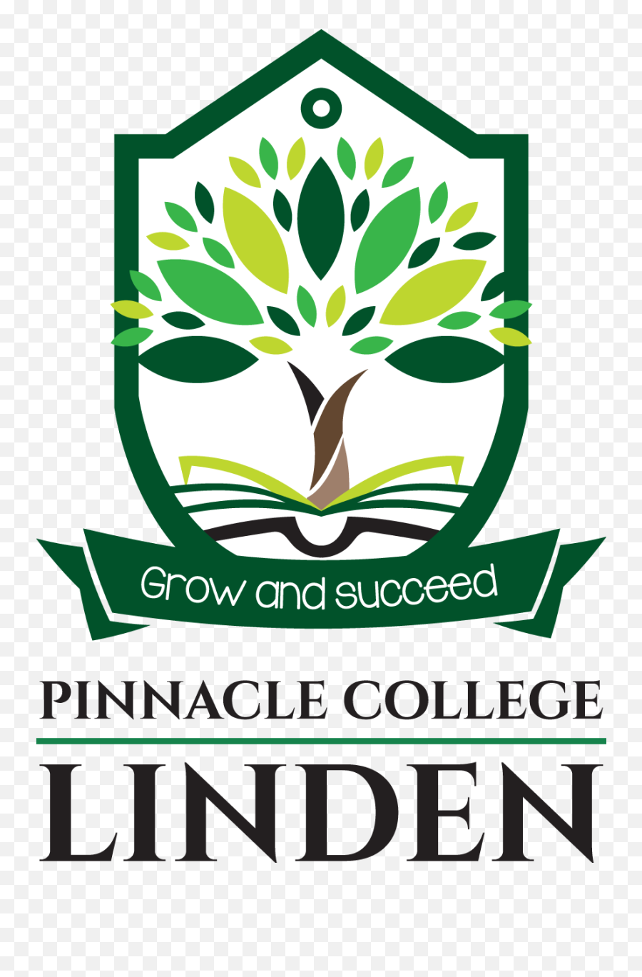 Linden - Pinnacle College Linden Emoji,Language Emotion Linden Tree Yellow Path