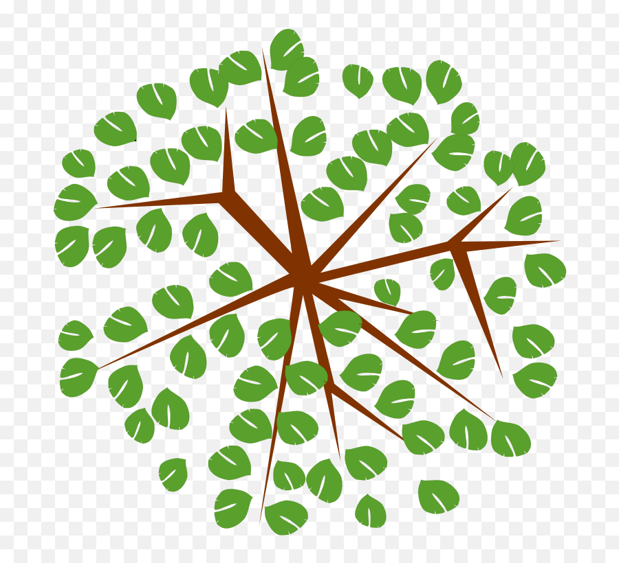 Free Archaeology Clipart Png Images - Tree Icon Top Viewpng Emoji,Vlado Emojis Shoes