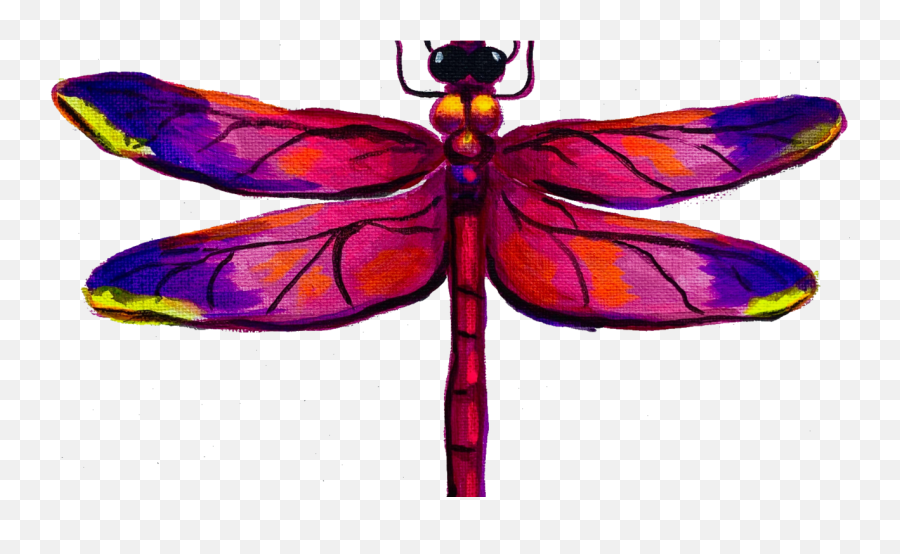 Why The Dragonfly - Girly Emoji,Emotion Flies