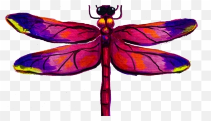 Why The Dragonfly - Girly Emoji,Emotion Flies