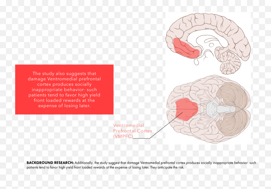 To Engineer A Gut Feeling U2014 Ani Liu Emoji,Brain Limbic Emotions Prefrontal