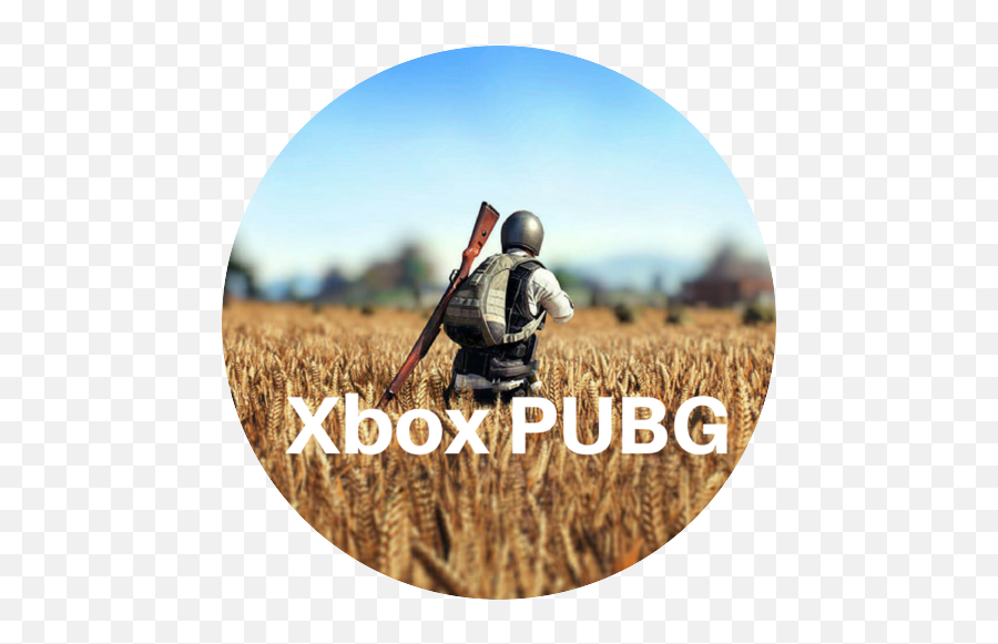 Xbox Pubg - The 1 Leaderboards U0026 Statistics Xbox Pubg Website Emoji,How To Add Emojis To Xbox Gamertagf