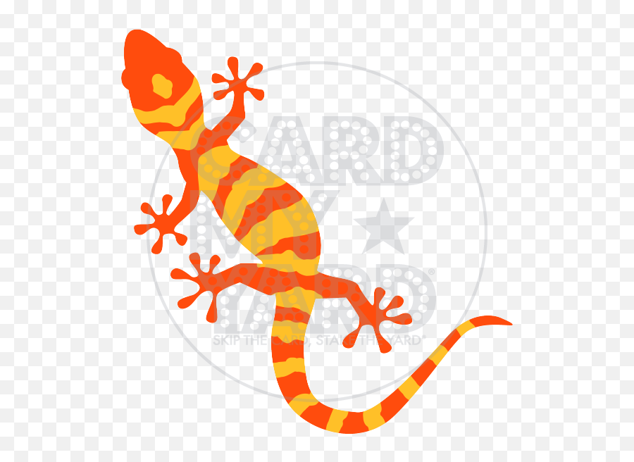 Card My Yard Palm Beach Gardens Yard Greetings For Any Occasion Emoji,Leo Gecko Emoji