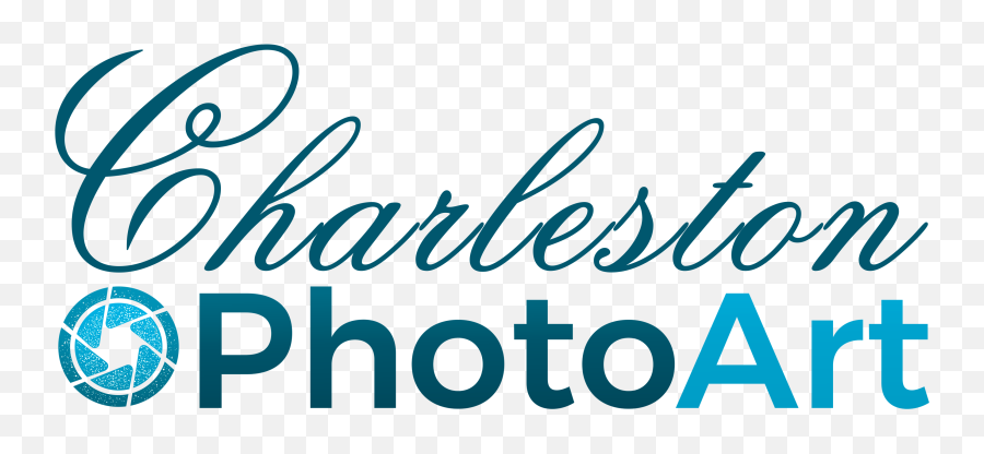 Charleston Photo Art Wedding Photographers - The Knot Horizontal Emoji,Emotion Drone Review