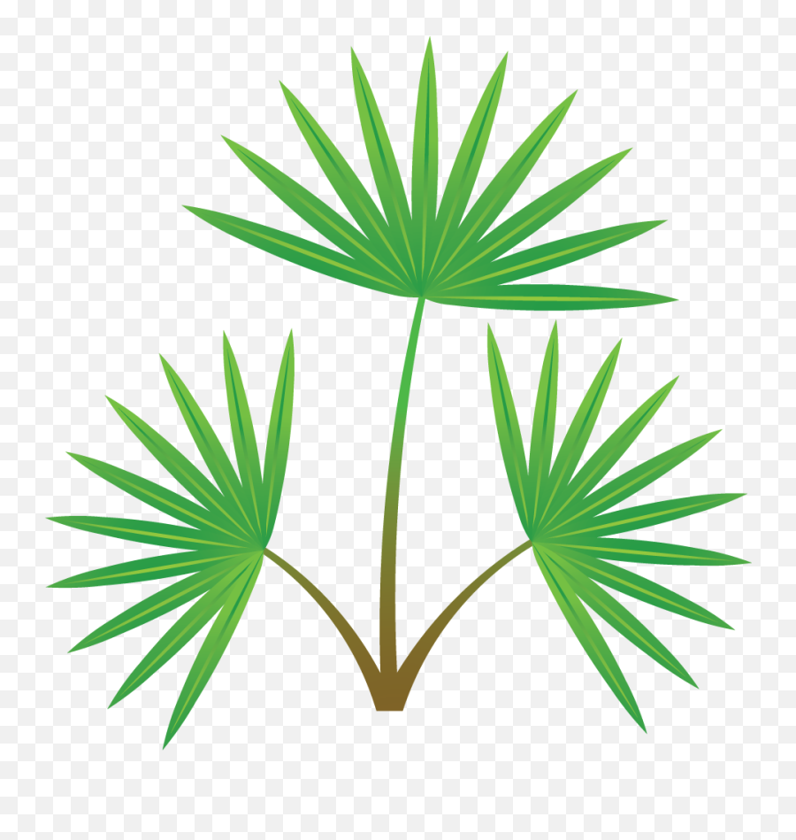 Palm Tree Section Vector Images Icon Sign And Symbols - Fresh Emoji,Palm Tree Emoji