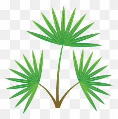 Palm Tree Section Vector Images Icon Sign And Symbols - Fresh Emoji,Palm Tree Emoji