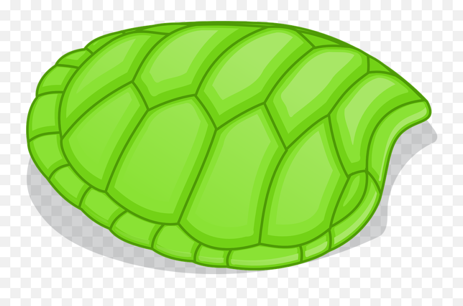 Tortoise Color Png U0026 Free Tortoise Colorpng Transparent - Turtle Shell Clipart Emoji,Turtle Shell Emoji