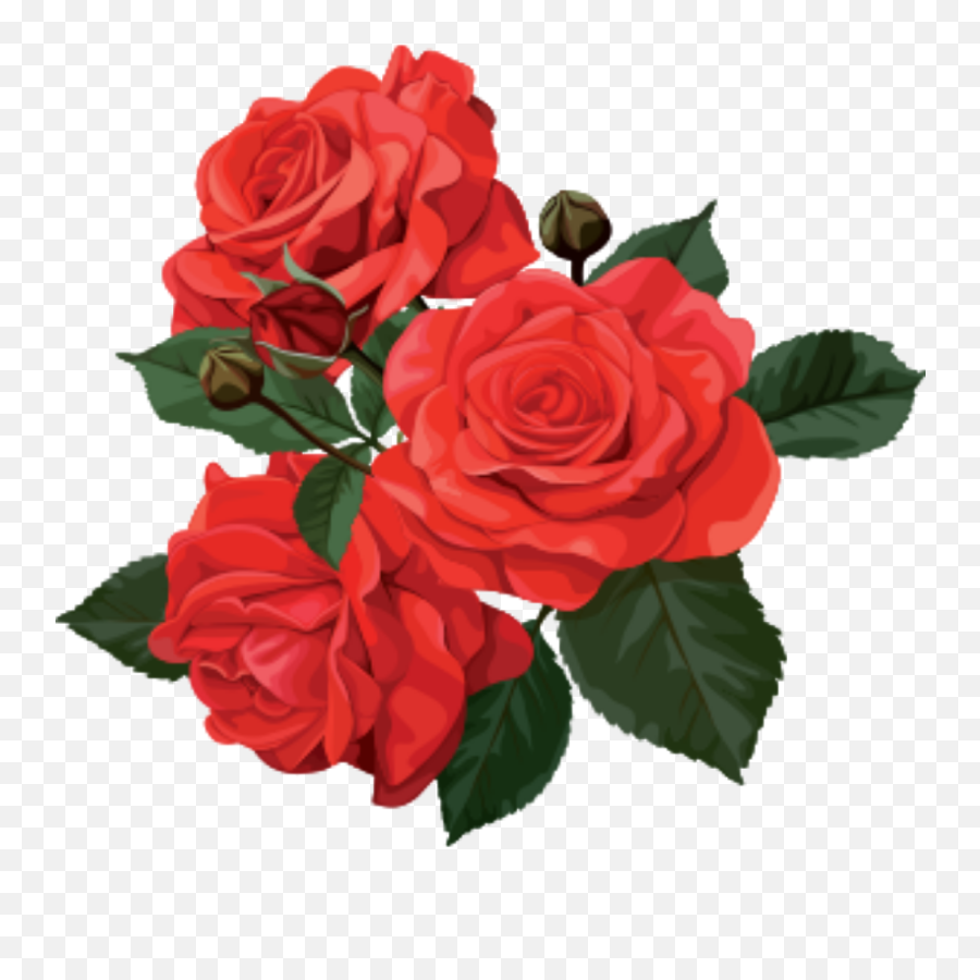 Flower Rose Red Flowers Roses Sticker - Bouquet Of Roses Clipart Emoji,Red Flowers Emoji