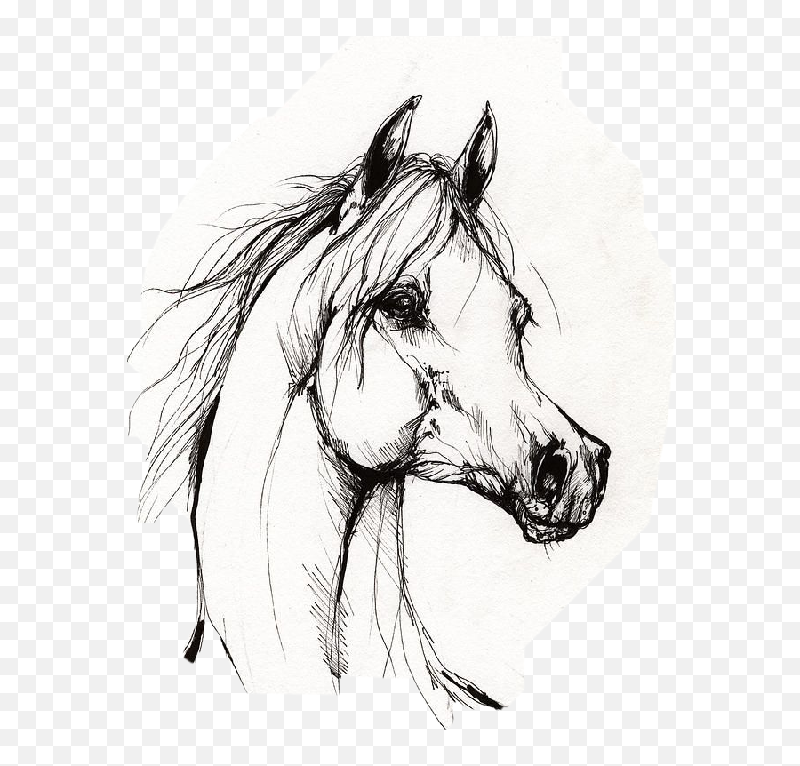 The Most Edited Pencil Draw Picsart - Arabian Horse Drawing Emoji,Emoji Drawings In Pencil