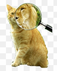 Magnifying Glass Sticker Challenge Emoji,Magnifier Girl Emoji