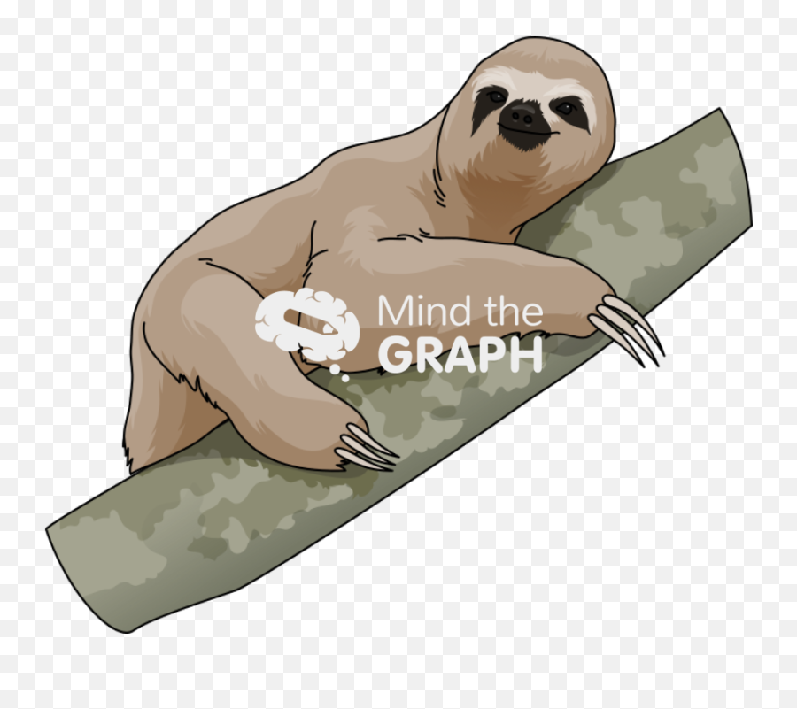 Sloth Folivora - Mind The Graph Pygmy Sloth Emoji,Sloth Emoticon Facebook