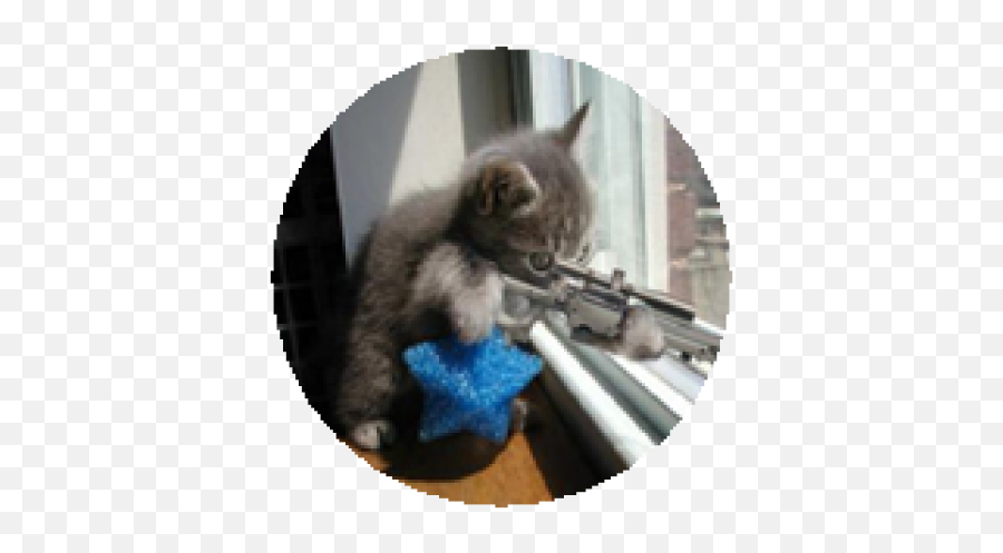 Sniper Cats Rock - Roblox Schloss Burg Emoji,Sniper Emoticon Cat