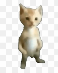Guess Whou0027s Back Fandom Emoji,Black Cat Discord Emoji