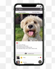 Whats New Emoji,Dogs Trust Emoji