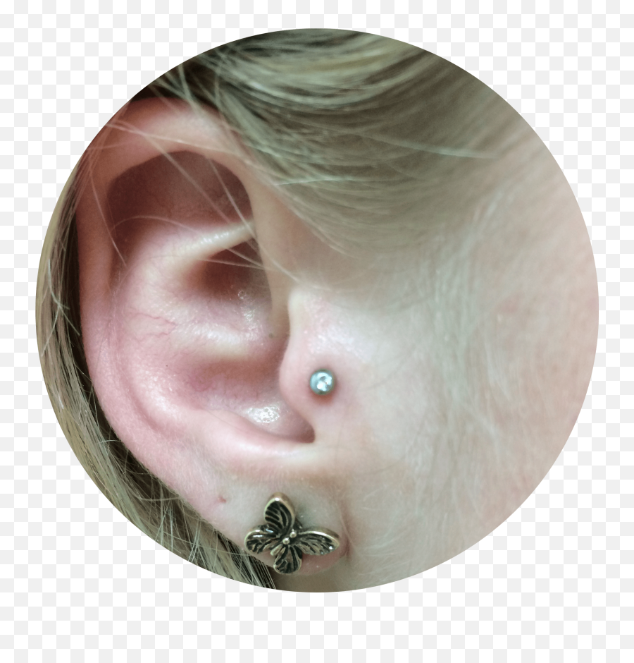 Tragus Piercing Mn Nd Il Mt - Tragus Piercing Benefits Emoji,Emoticon Meaning Lip Curved On One Side